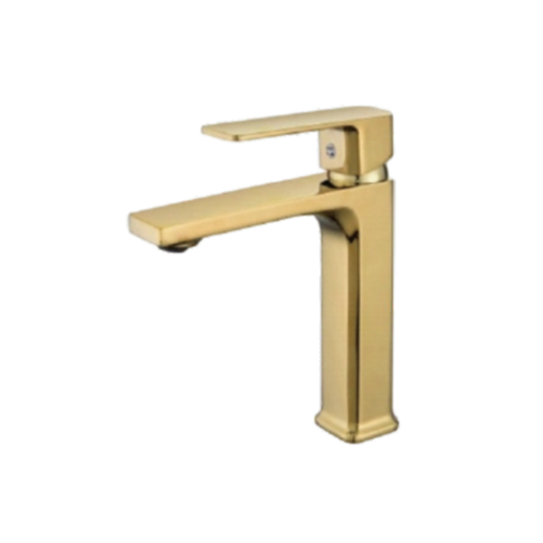 BSA-G-19.png BSA-G-19.png