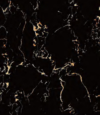 Porcelanato Zafiro Negro con Vetado Dorado