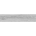 SCG-32.png