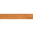 SCG-38.png