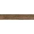 SCG-43.png